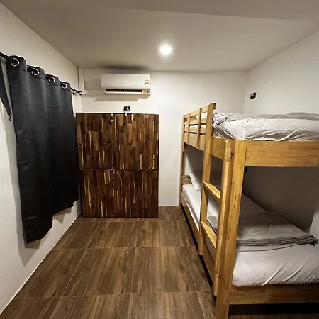 Monkey's Hostel